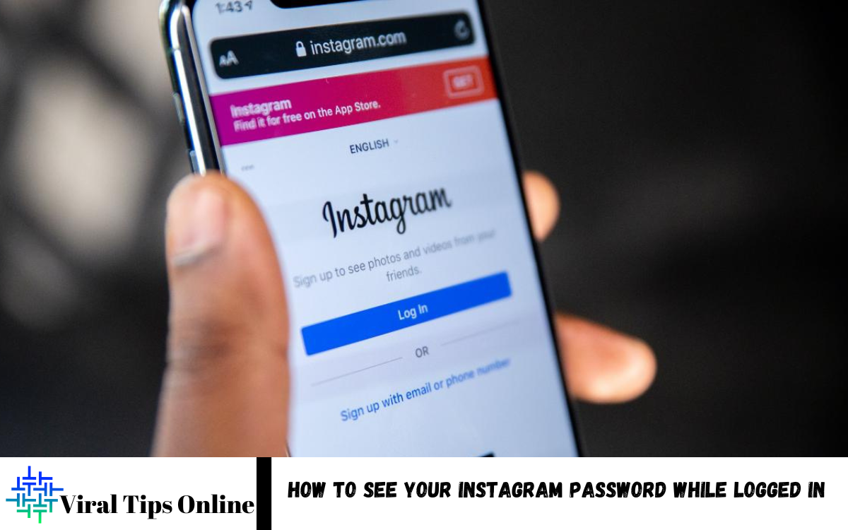 See Your Instagram Password While Logged in